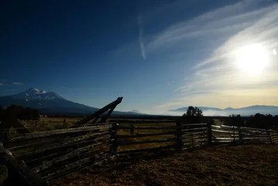 DSC_3016 (Large).JPG